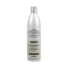 Alfaparf Il Salone Shampoo Dry-Damage 500 Ml